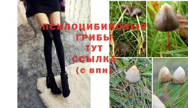 MDMA Белокуриха