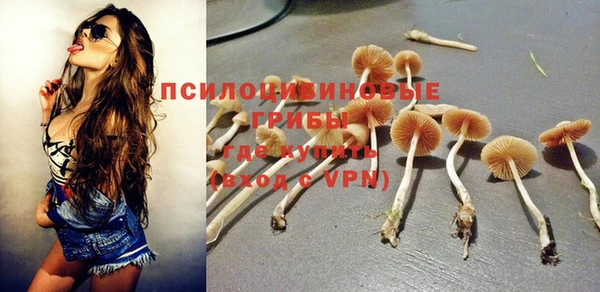 а пвп мука Сосновка