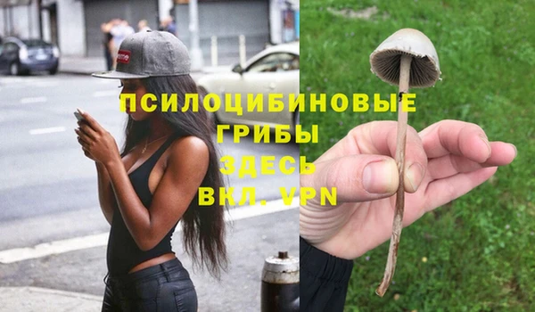 Альфа ПВП Баксан
