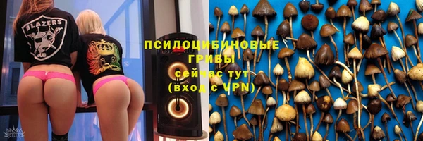 spice Балабаново