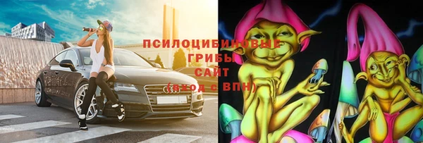 гашик Сосновоборск