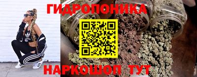 ECSTASY Будённовск